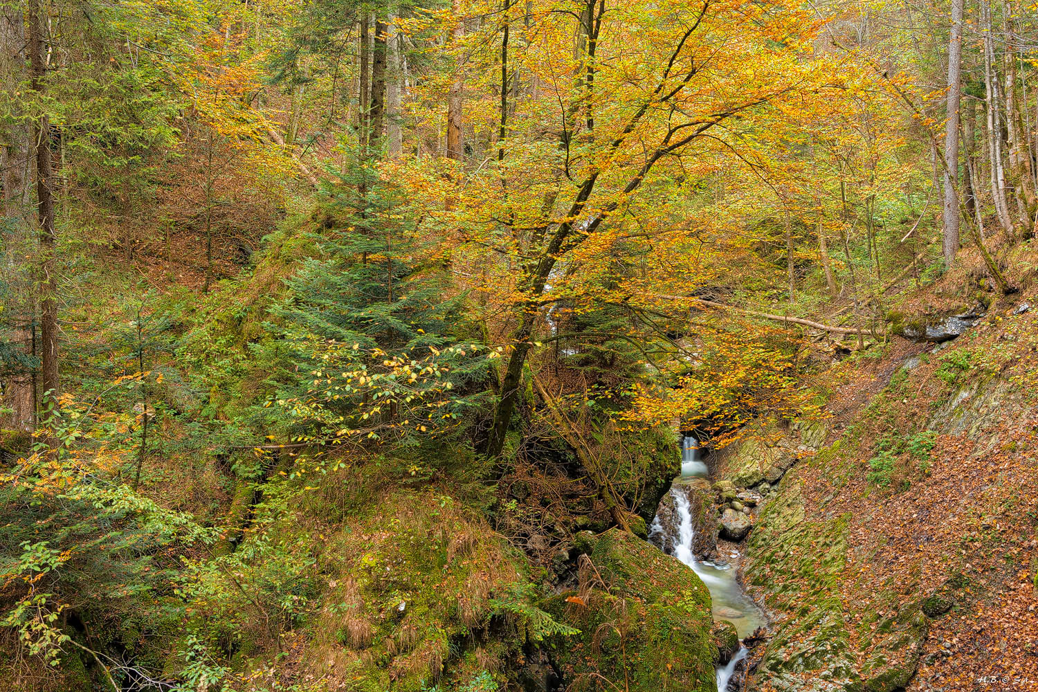 Herbstfarben