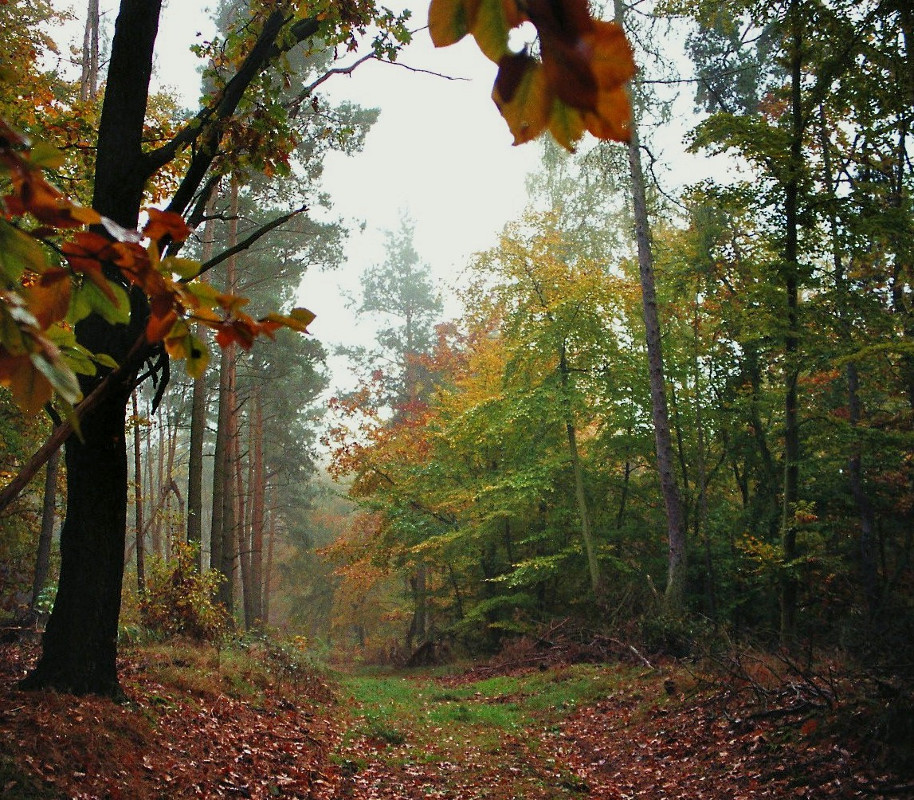 Herbstfarben