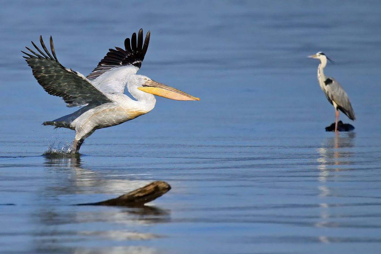 Abflug