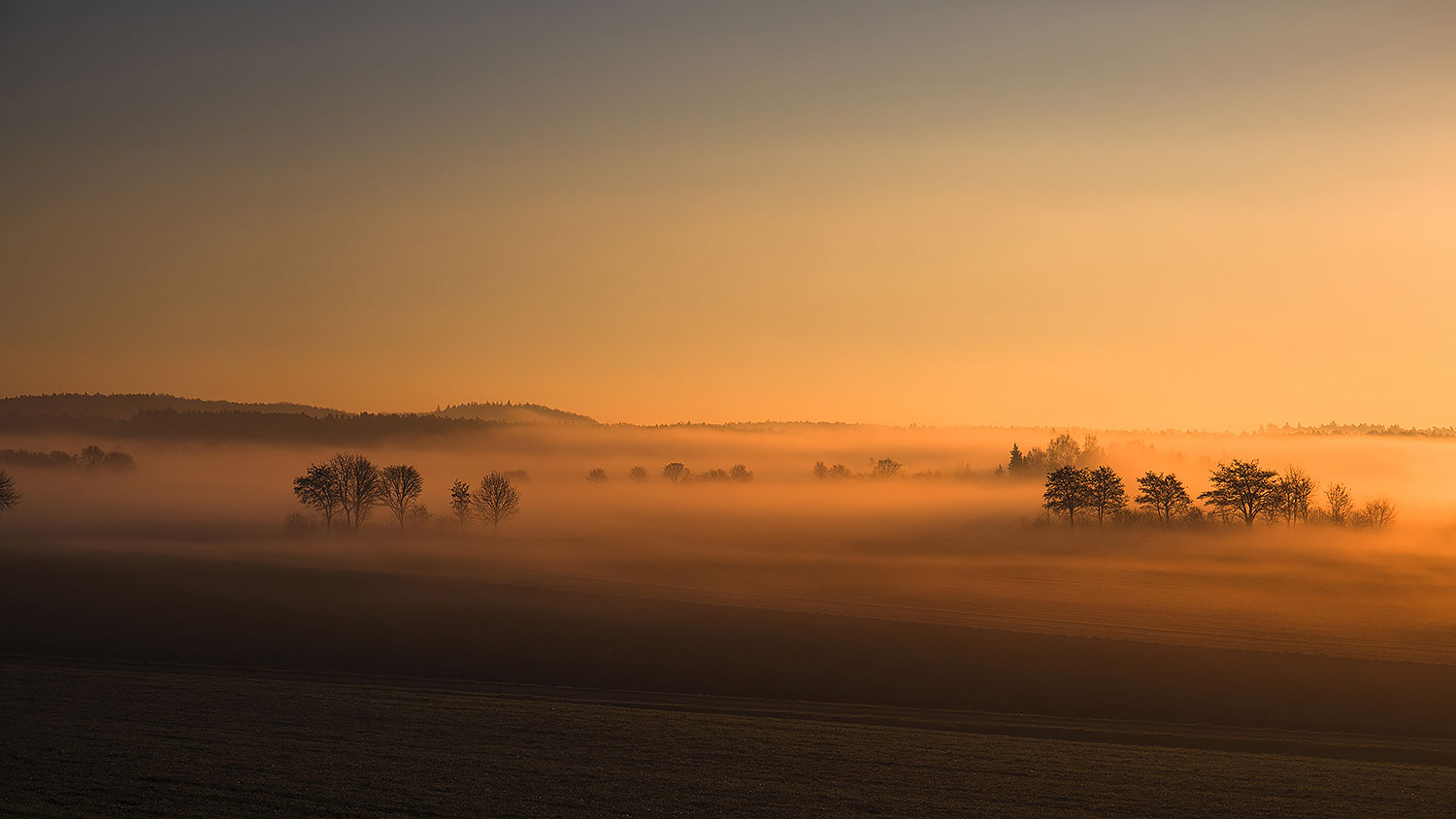 Sonnenaufgang im Nebel