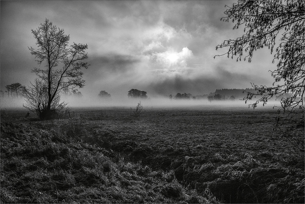 Bodennebel am Morgen