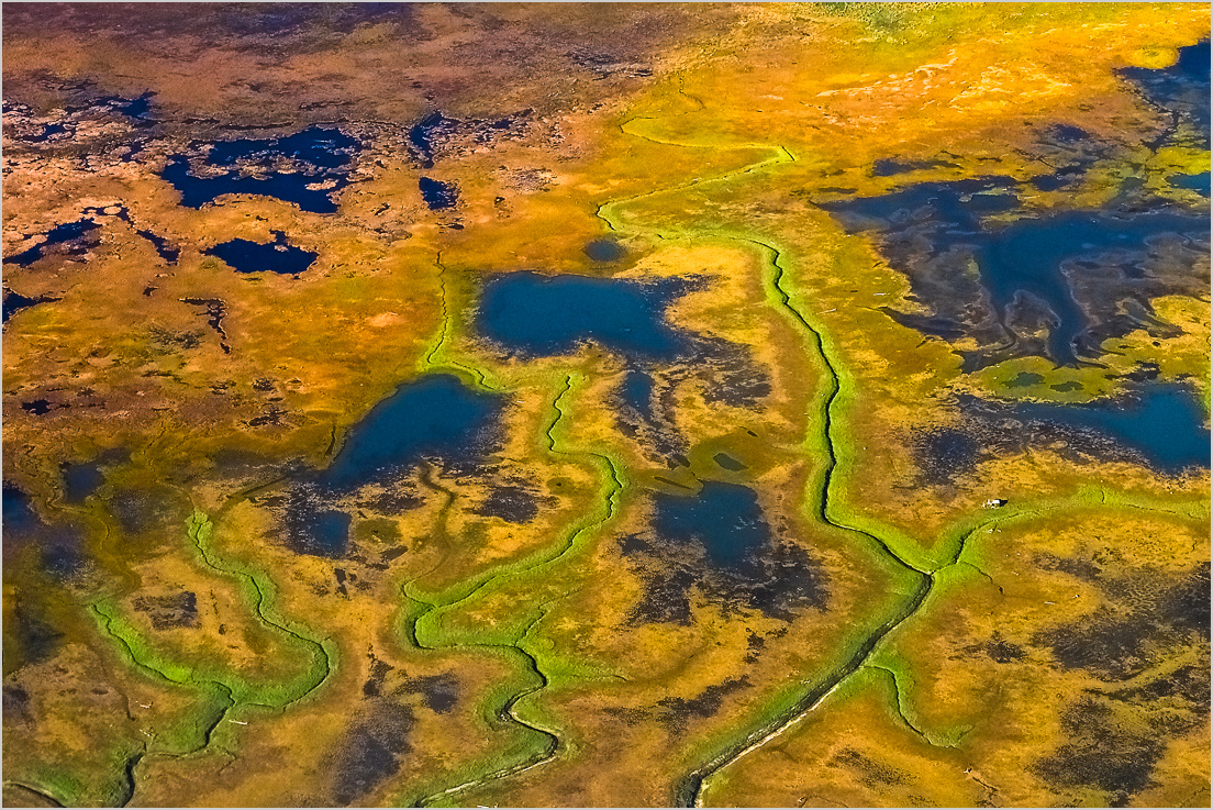 Wetland I