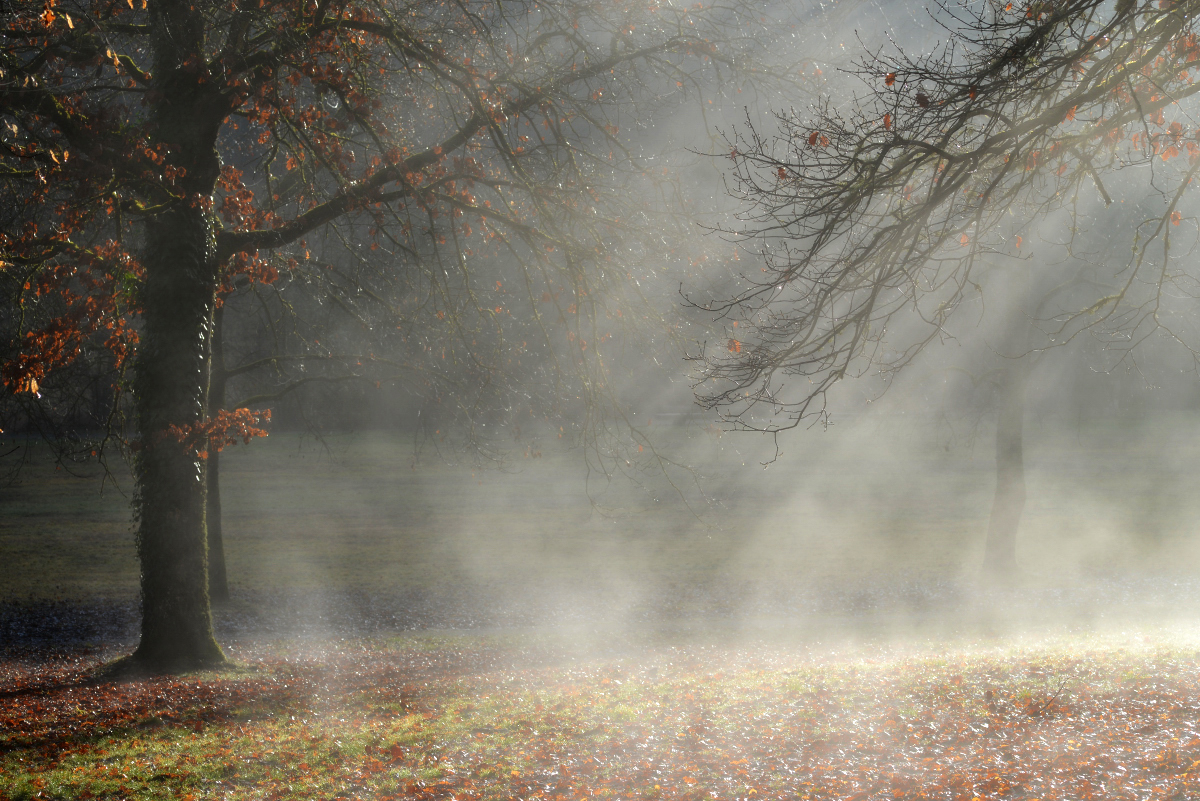 Herbstzeit