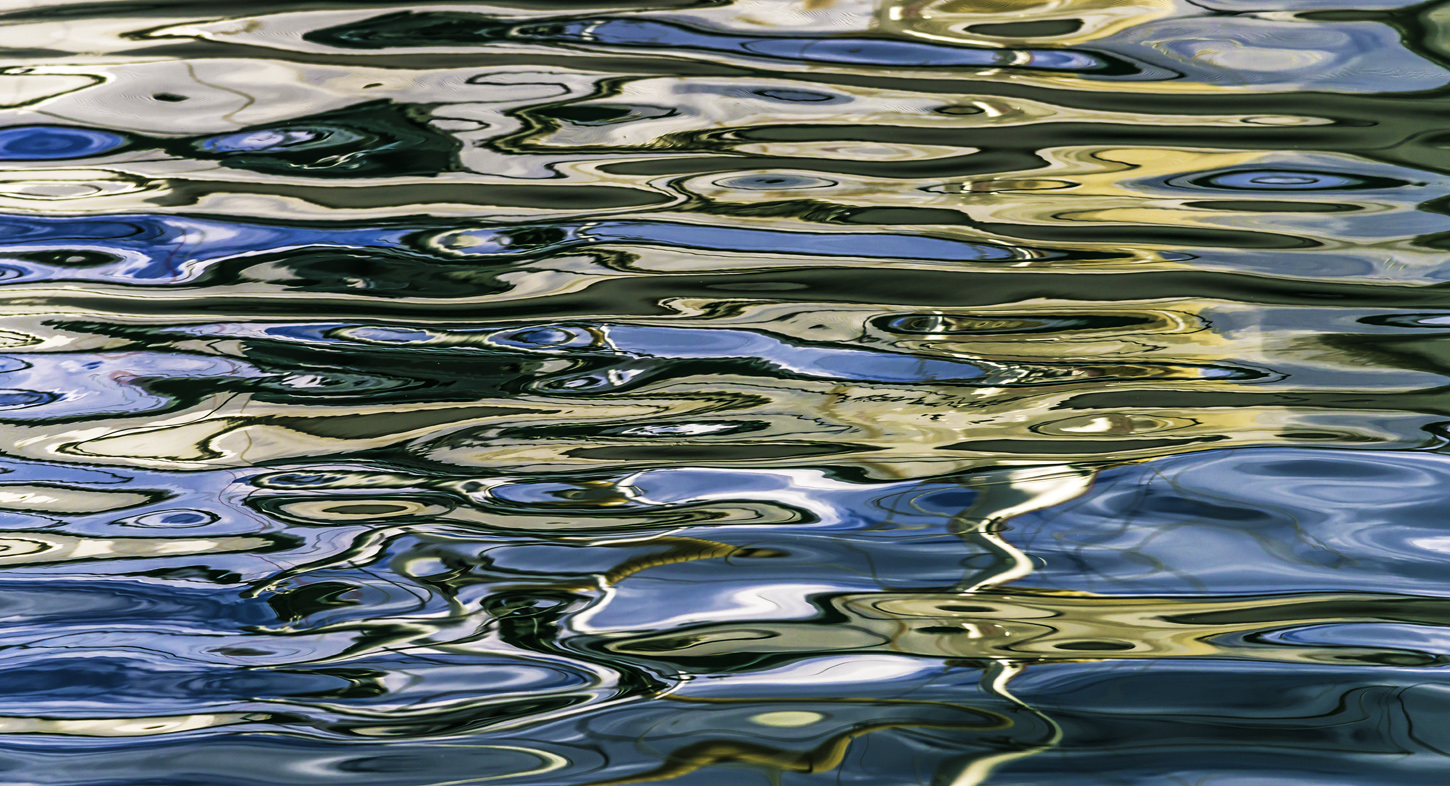 Fische