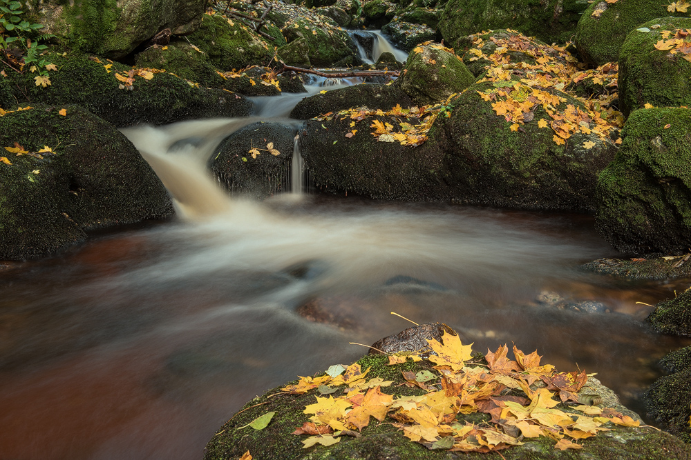 Herbst....