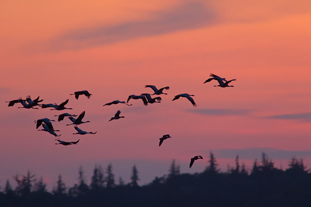 Abflug