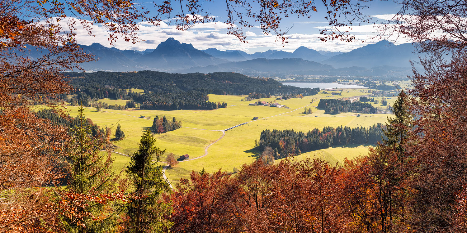Heimat