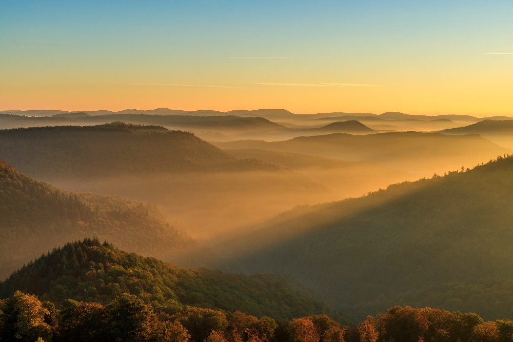 Goldige Herbstwelt