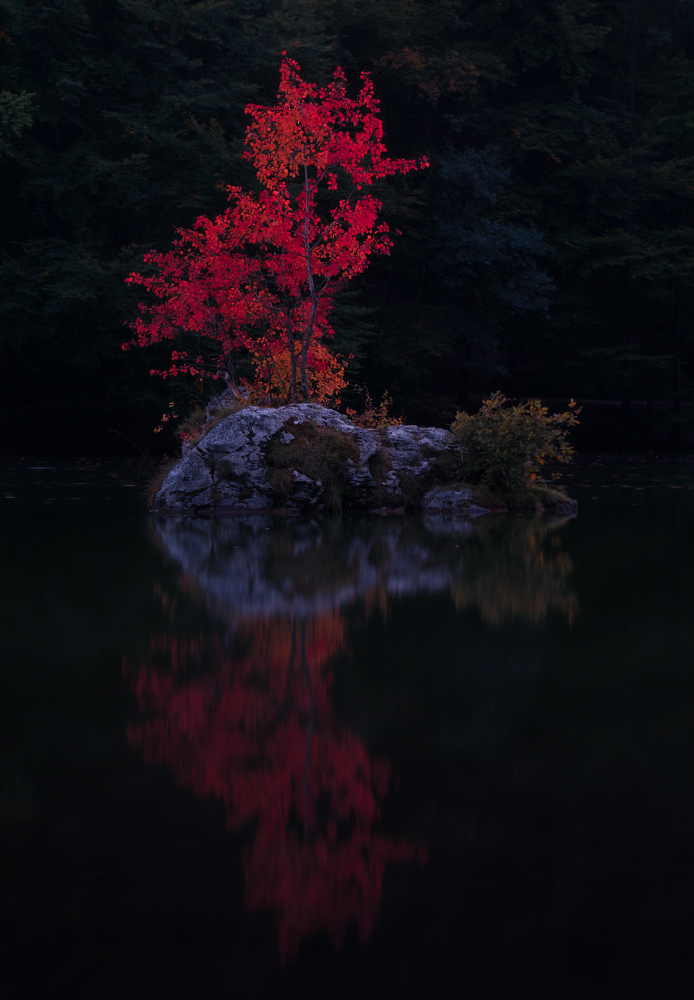 Stille