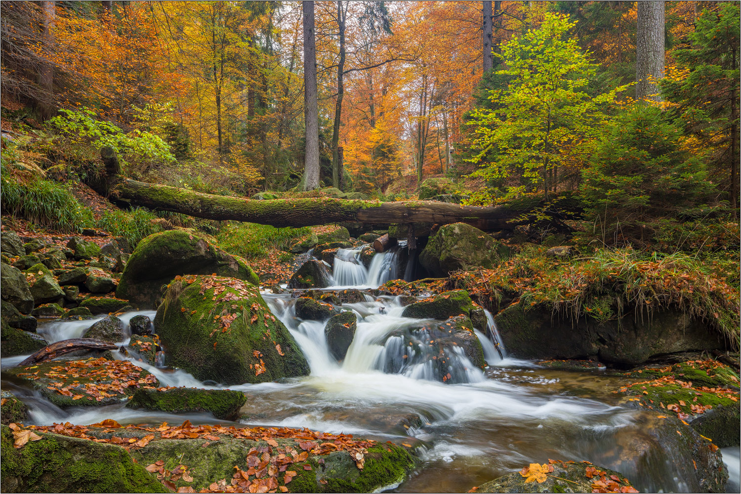 Herbst im Ilsetal ..