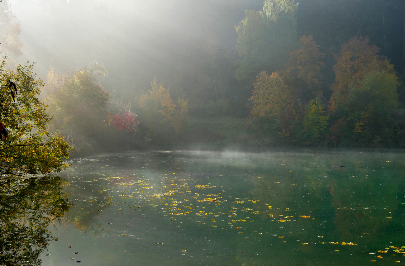 Morgenstimmung am See
