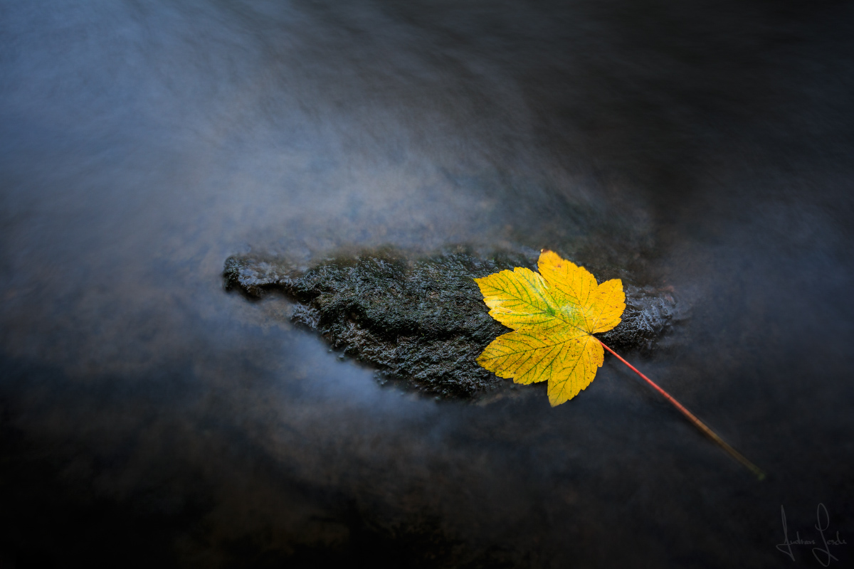 Herbstfarben