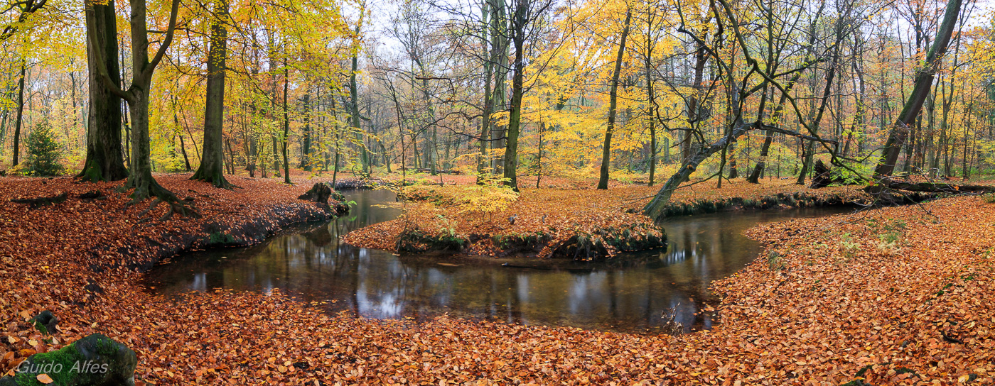 Herbstbach