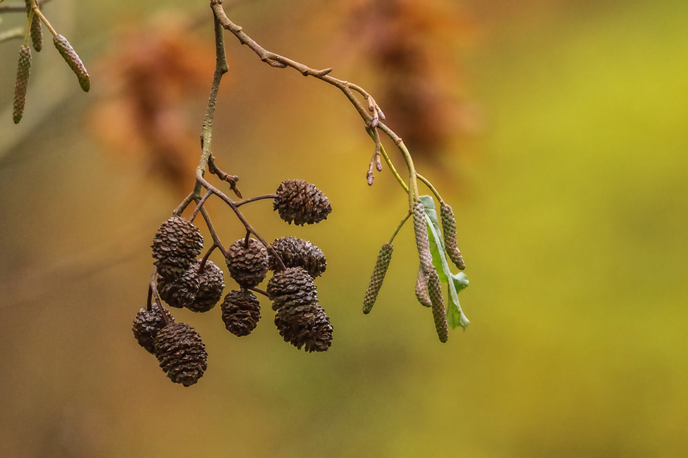 Ich Wunsche Euch Allen Ein Schones Wochenende Forum Fur Naturfotografen