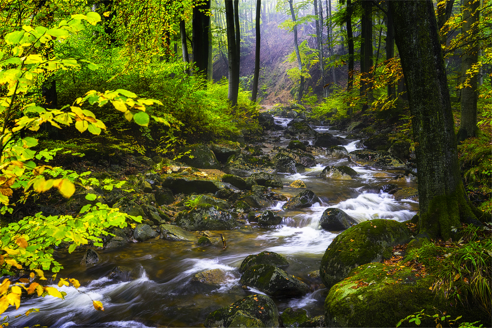 Die Ilse im herbstlichen Gewand ...