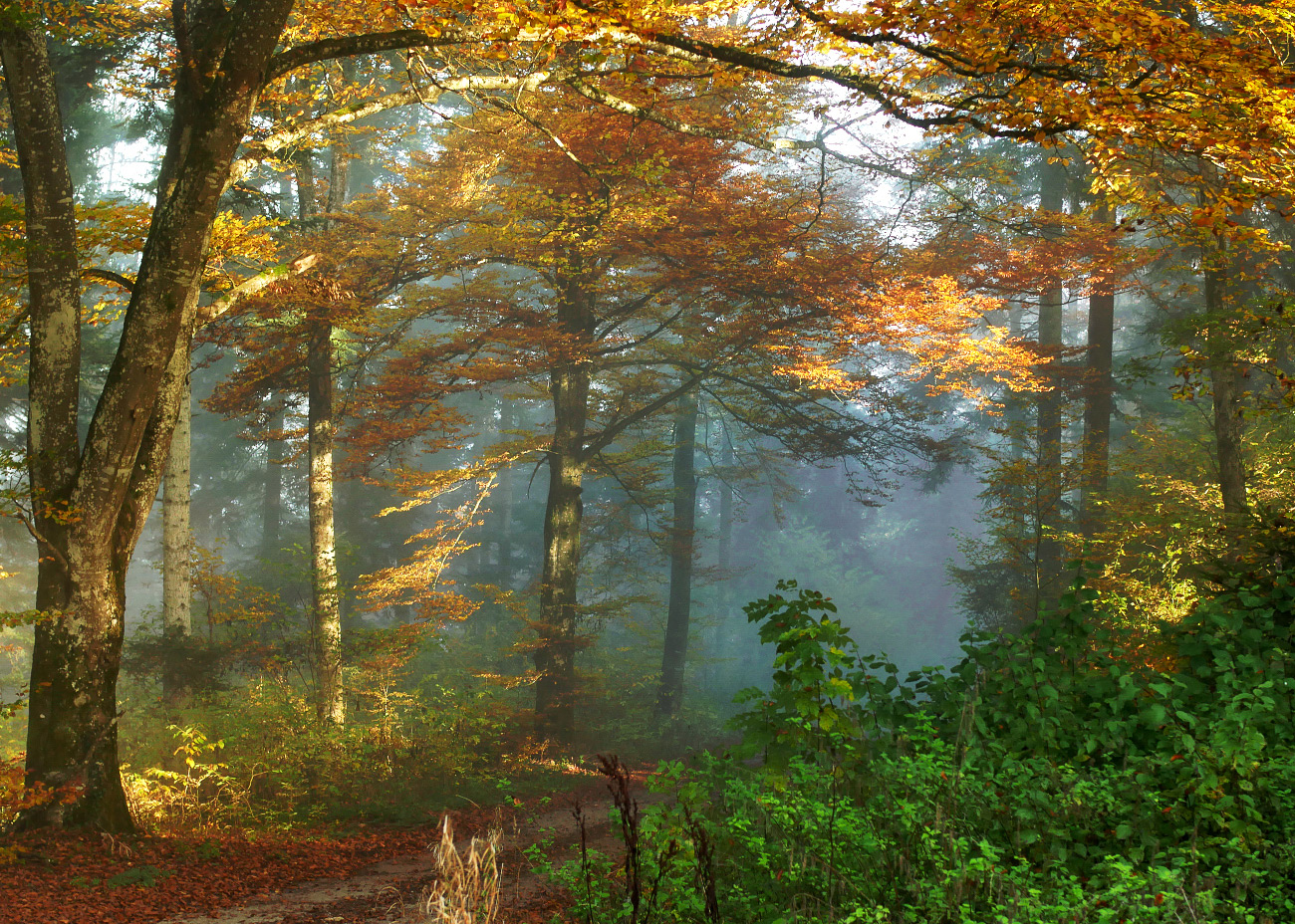 Letzter Herbsttag
