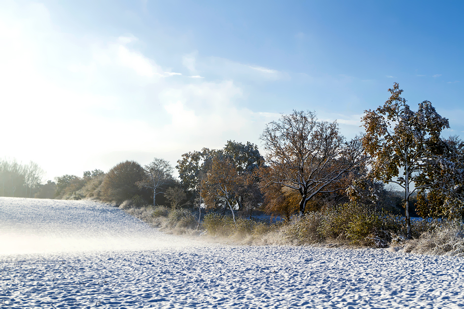 Winterliche Herbstlandschaft