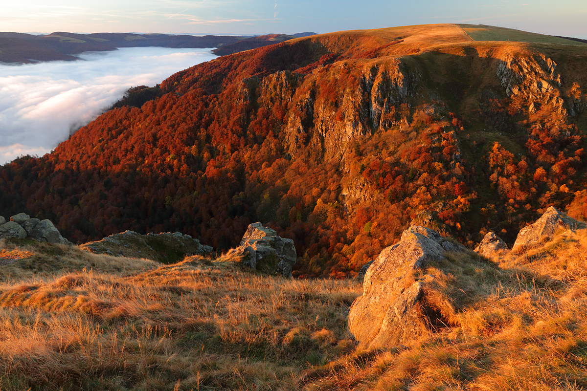 Morgenlicht auf dem Hohneck