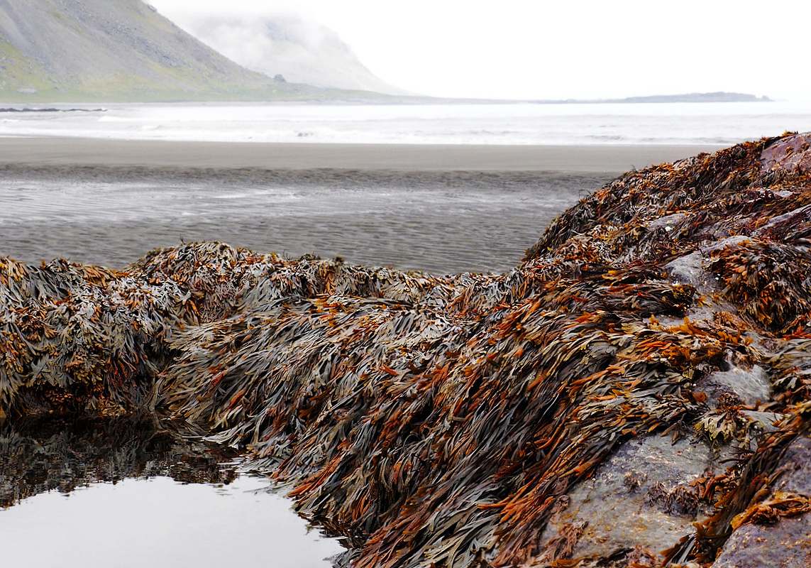 Am Vestrahorn.....