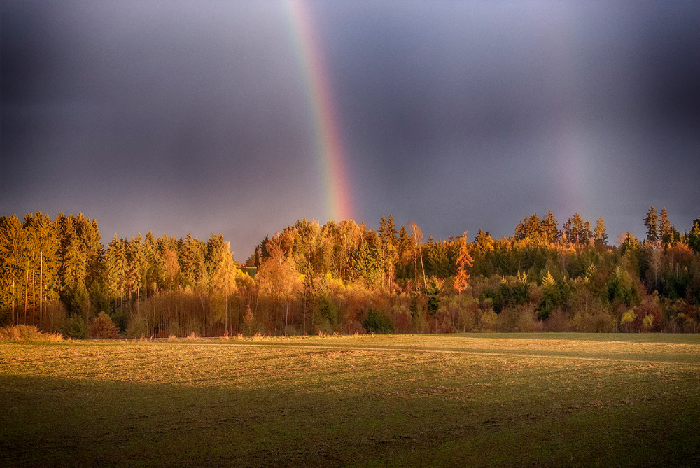 Regenbogen