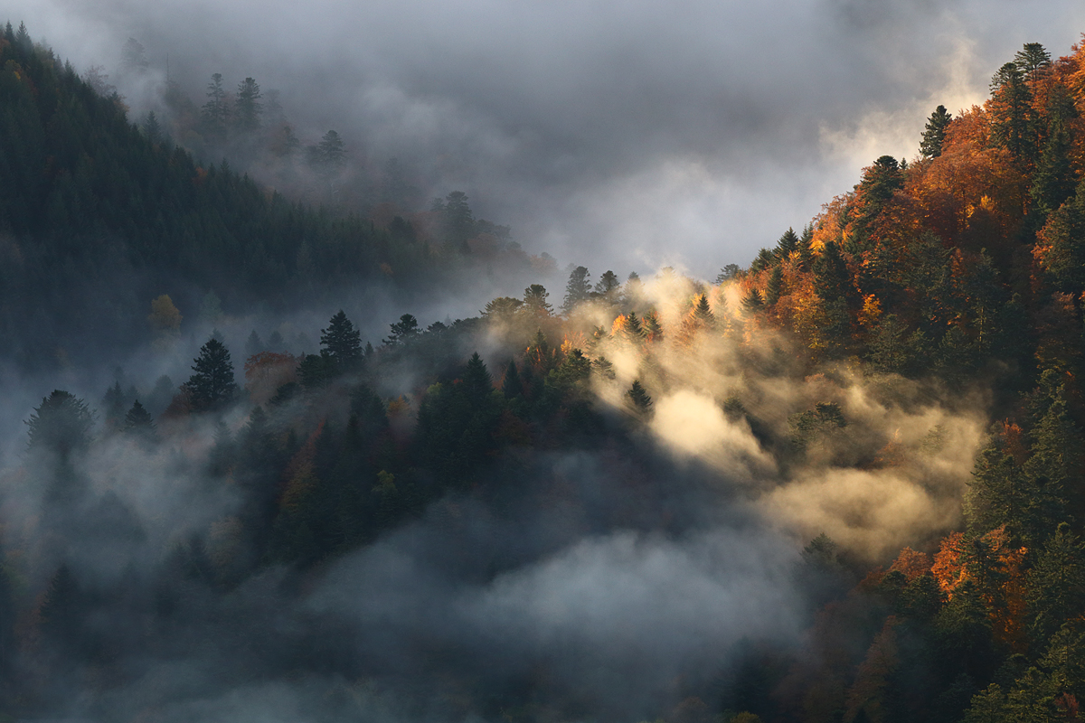 Herbstliche Wetterküche