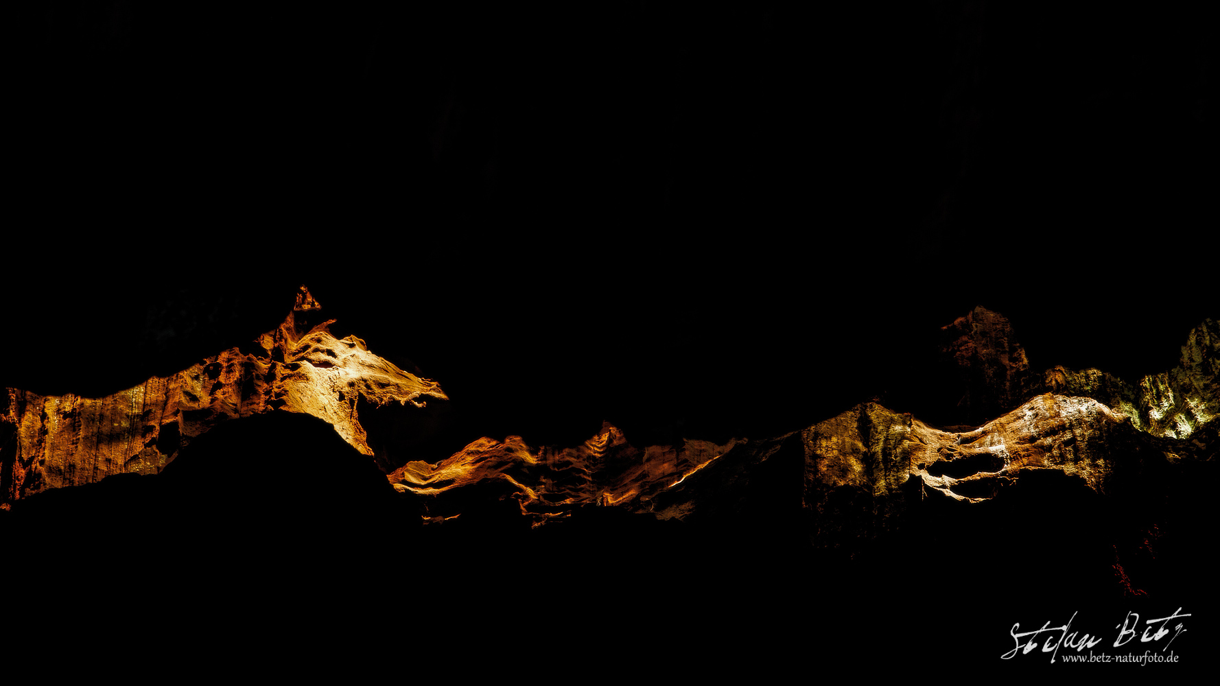 Pfälzer Sandsteindrache