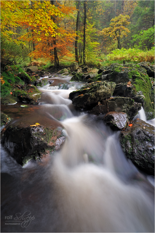 ~ autumn ~