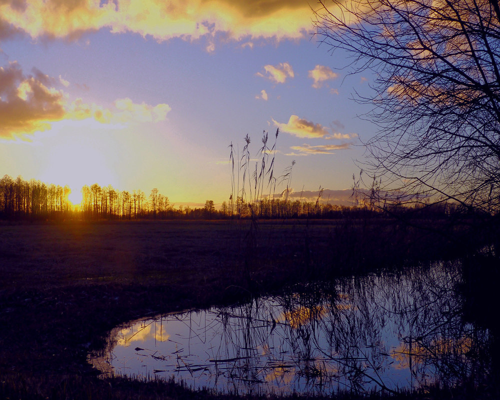 Sonnenuntergang in der Mark Brandenburg