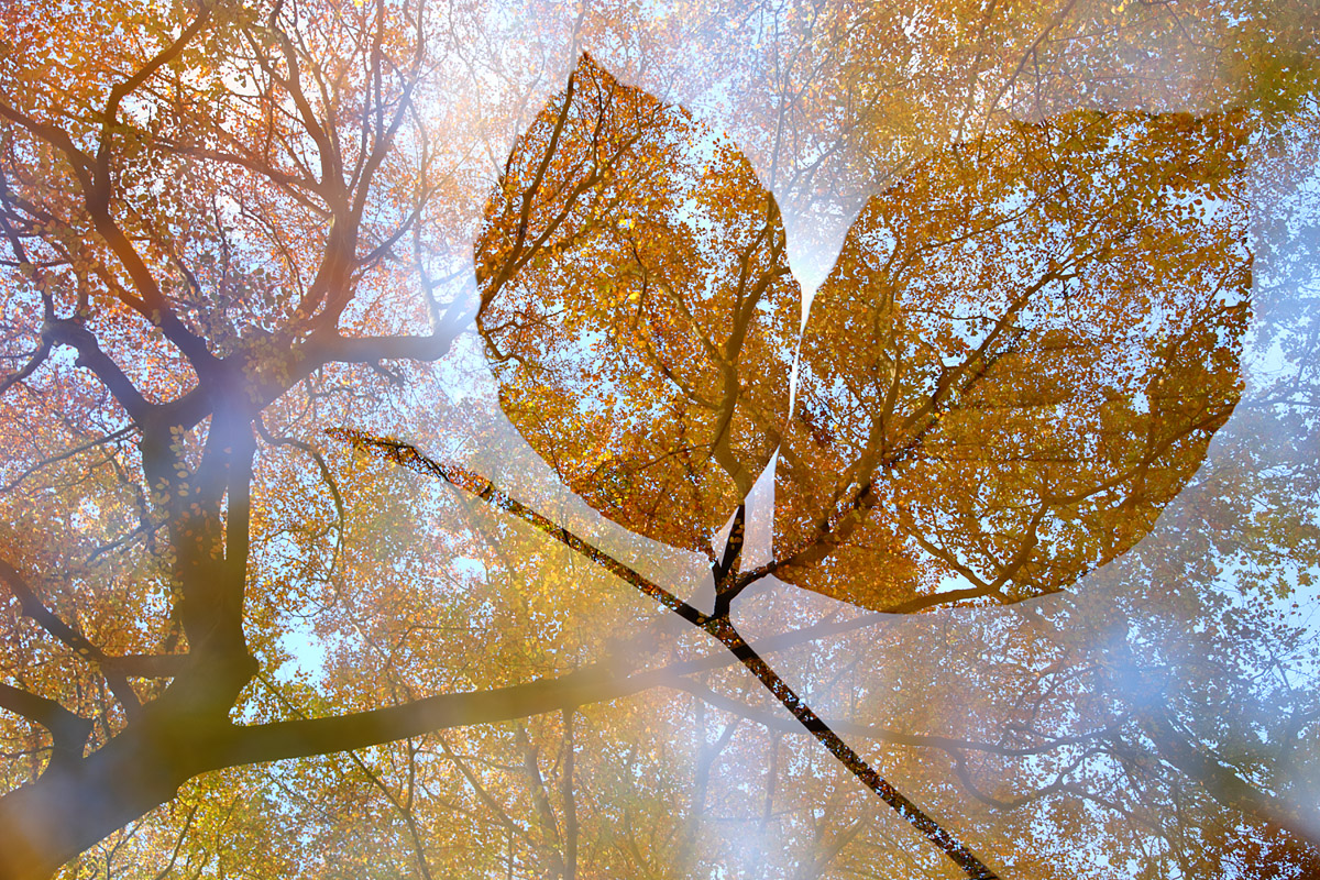 Erinnerung an den Herbst