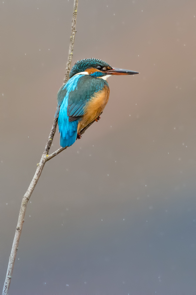 Ansitzen im Schnee