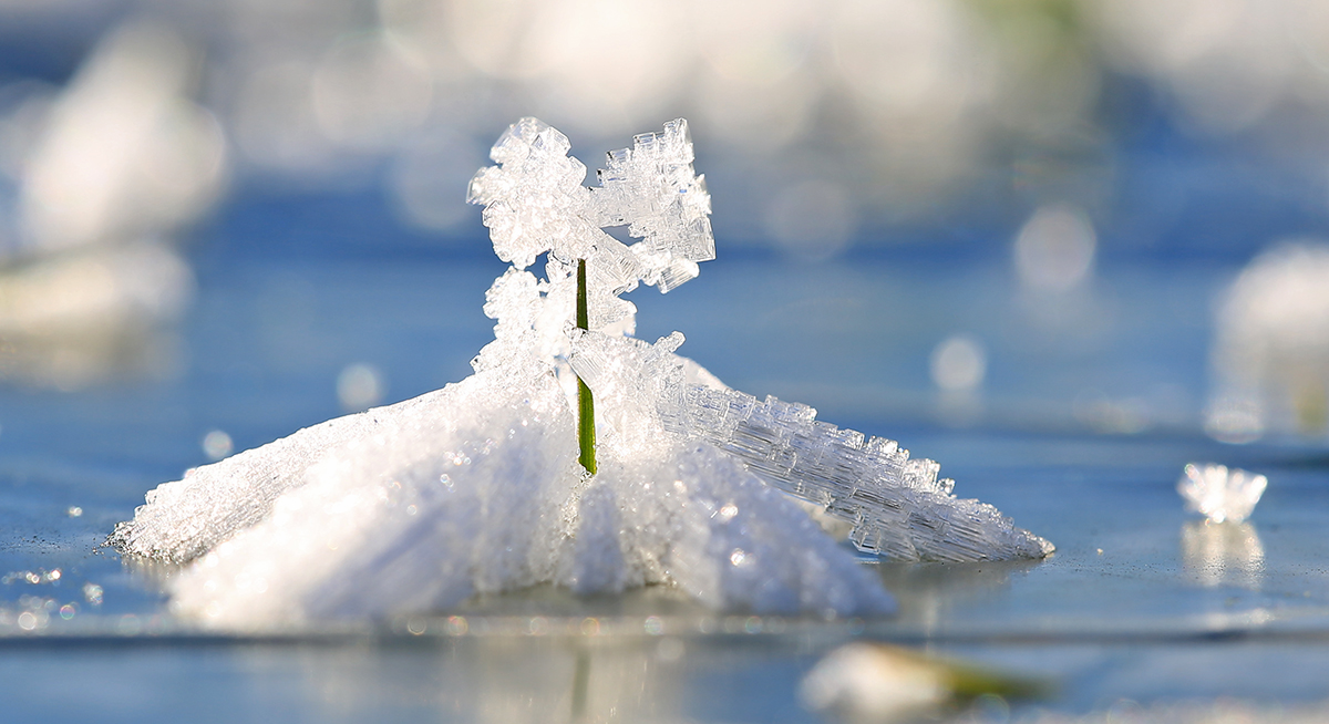 Eiskristalle