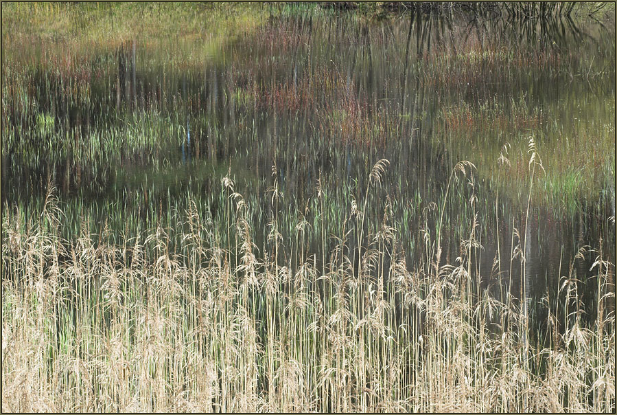 ~ Farbenmeer ~