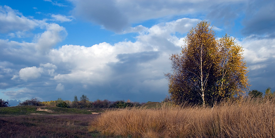 In den Dünen