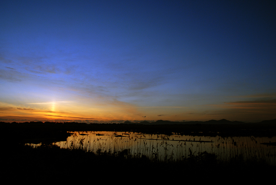 Albufera