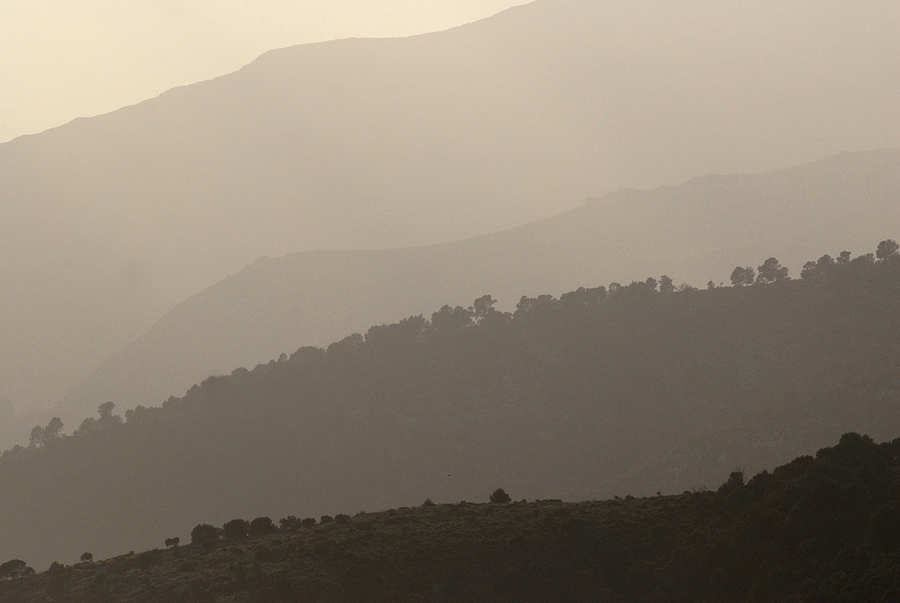 Serra de Tramuntana