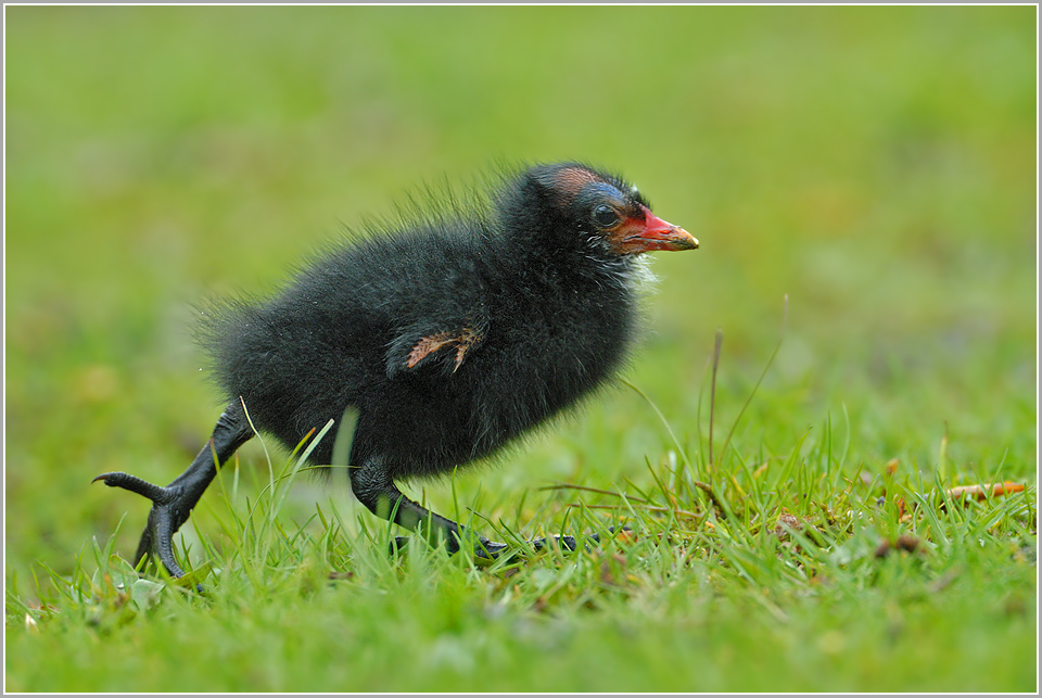 "Mama, warte auf mich"