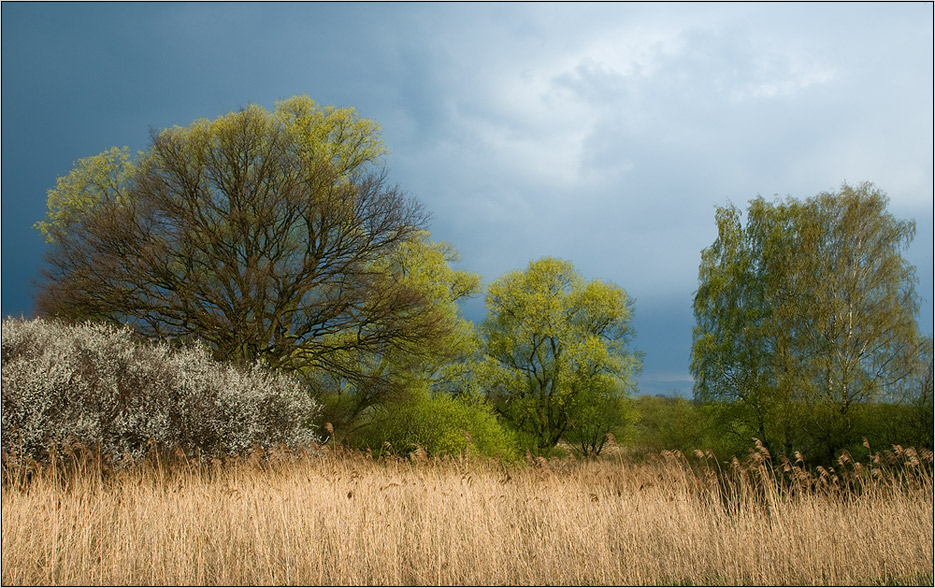 Frühling