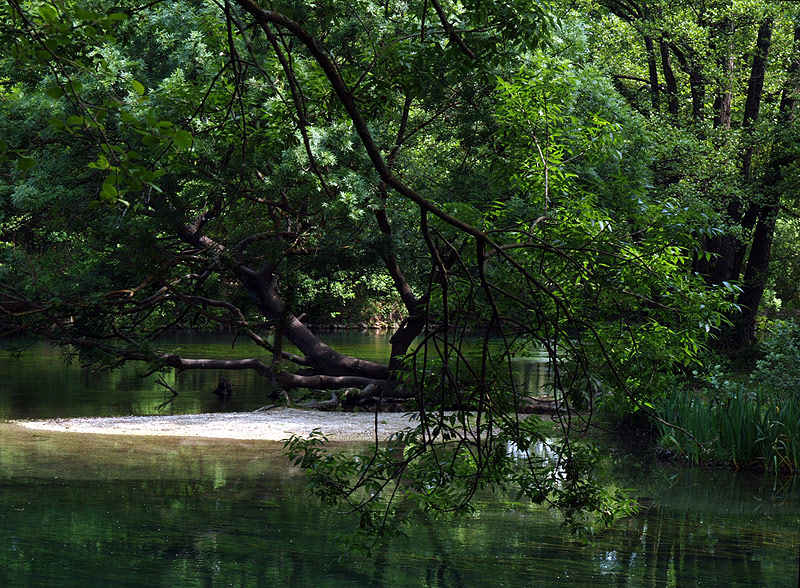 La Sorgue