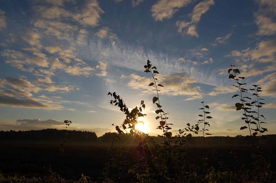 Sonnenaufgang im Herbst 2