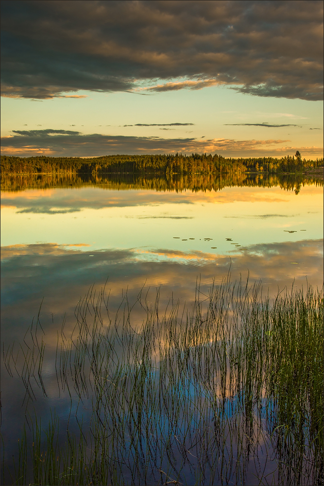 °°° Abendstimmung am Gåstjärnen II °°°