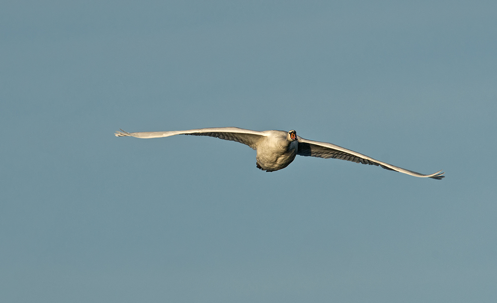 B -1 im Landeanflug