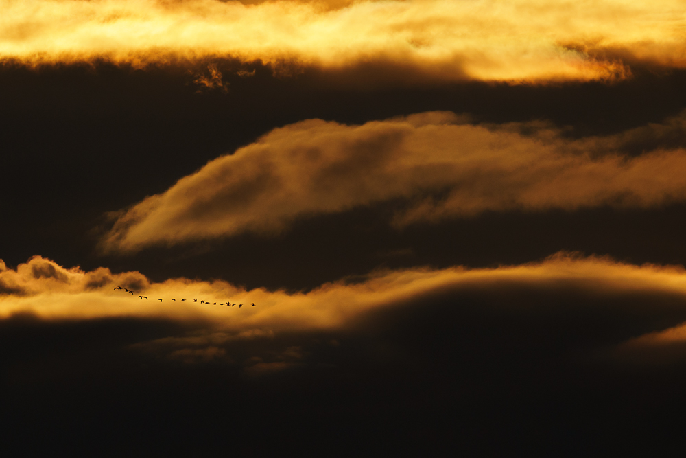 Wolkenreiter
