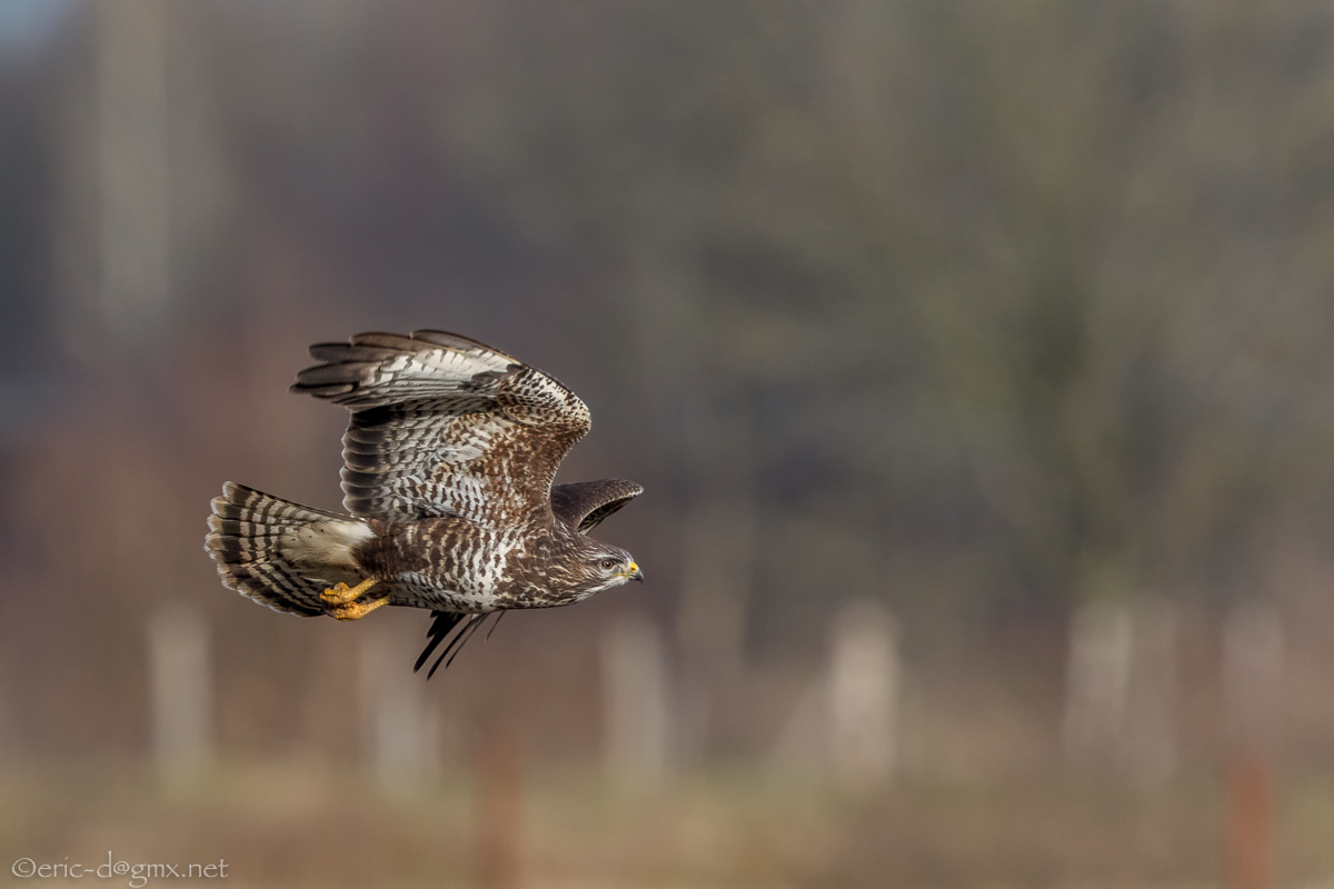 Vorbeiflieger