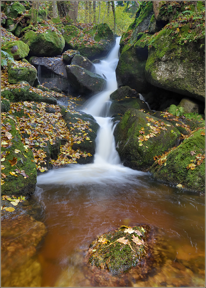 * Ysperklamm_2*