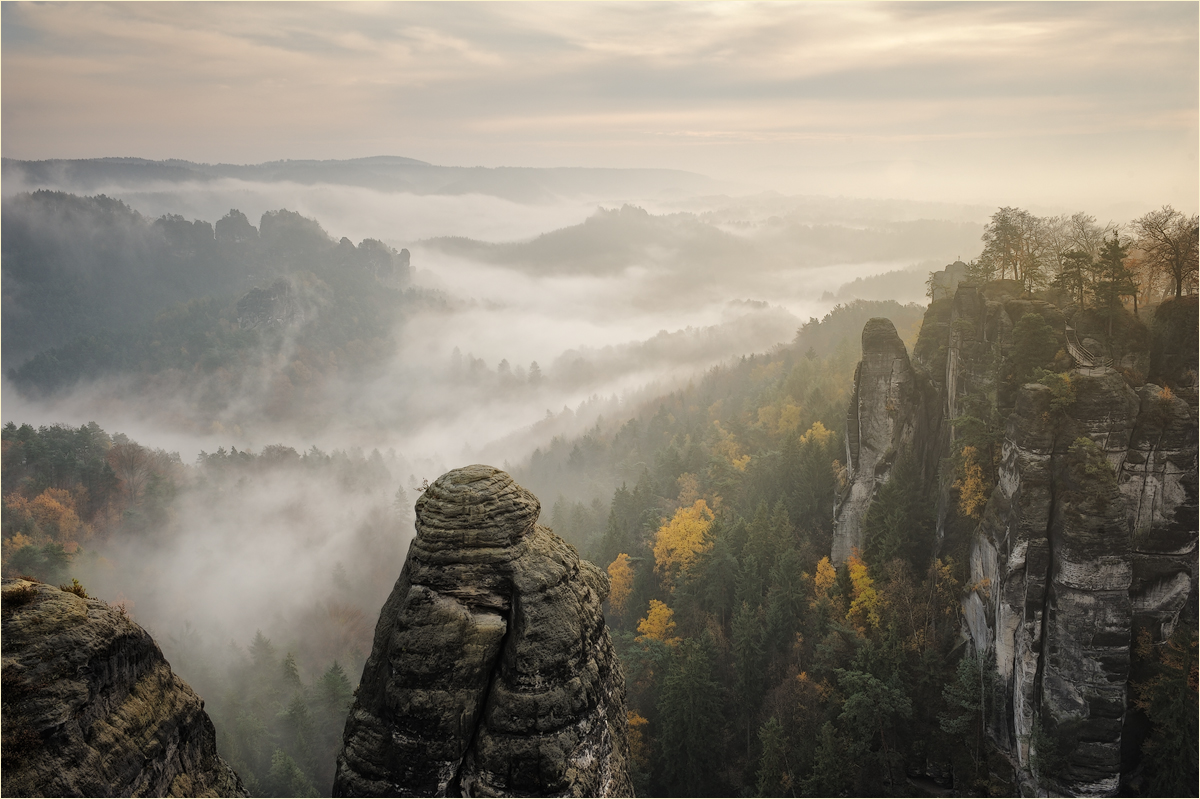 ~ a sea of fog ~