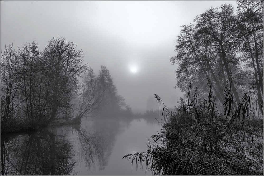 Morgennebel