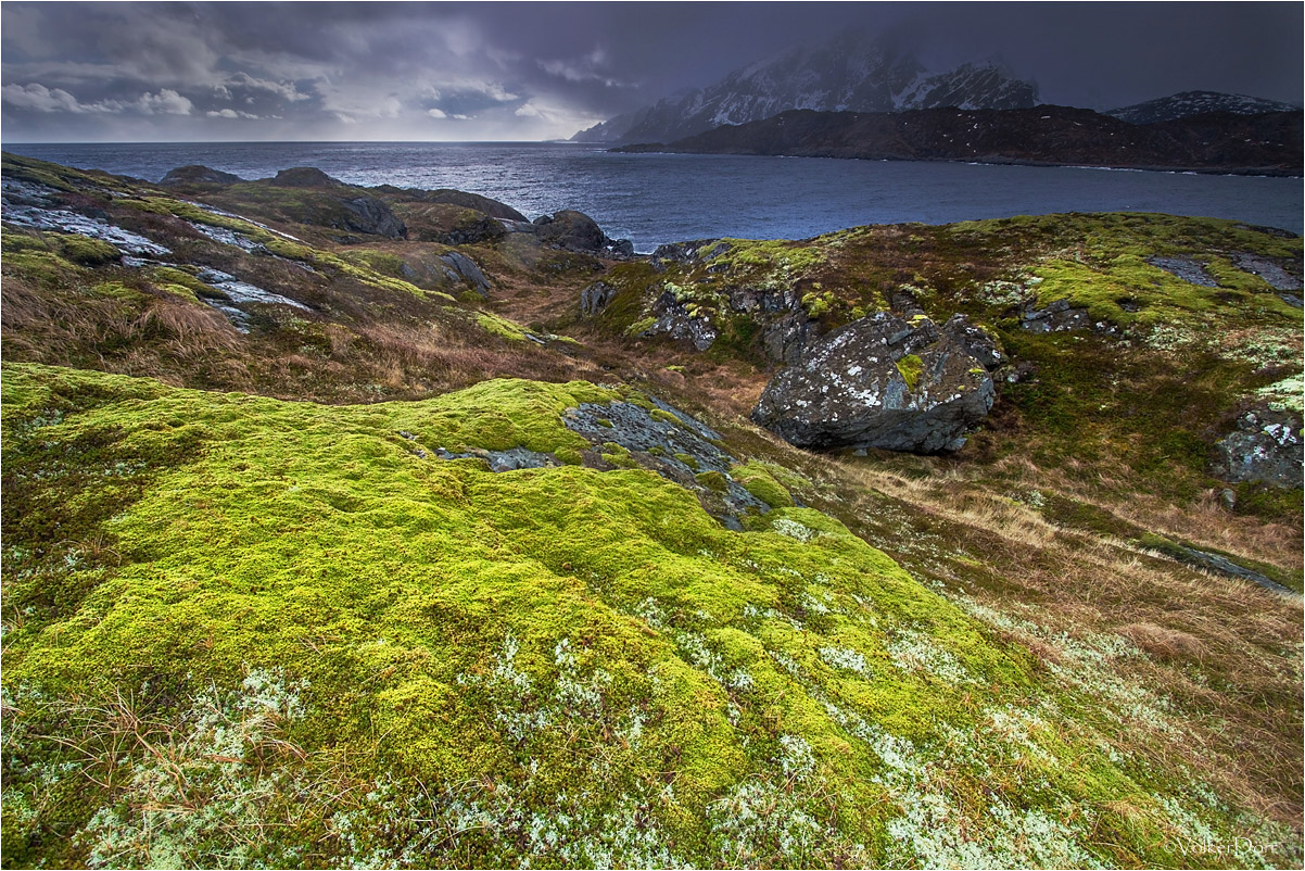 Skelfjord