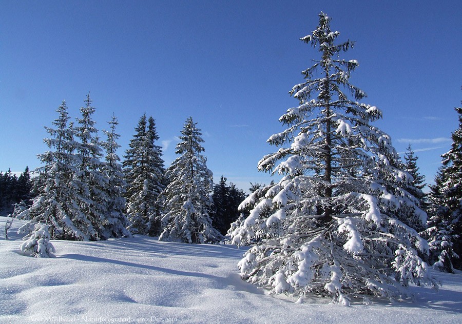 So kann der Winter kommen