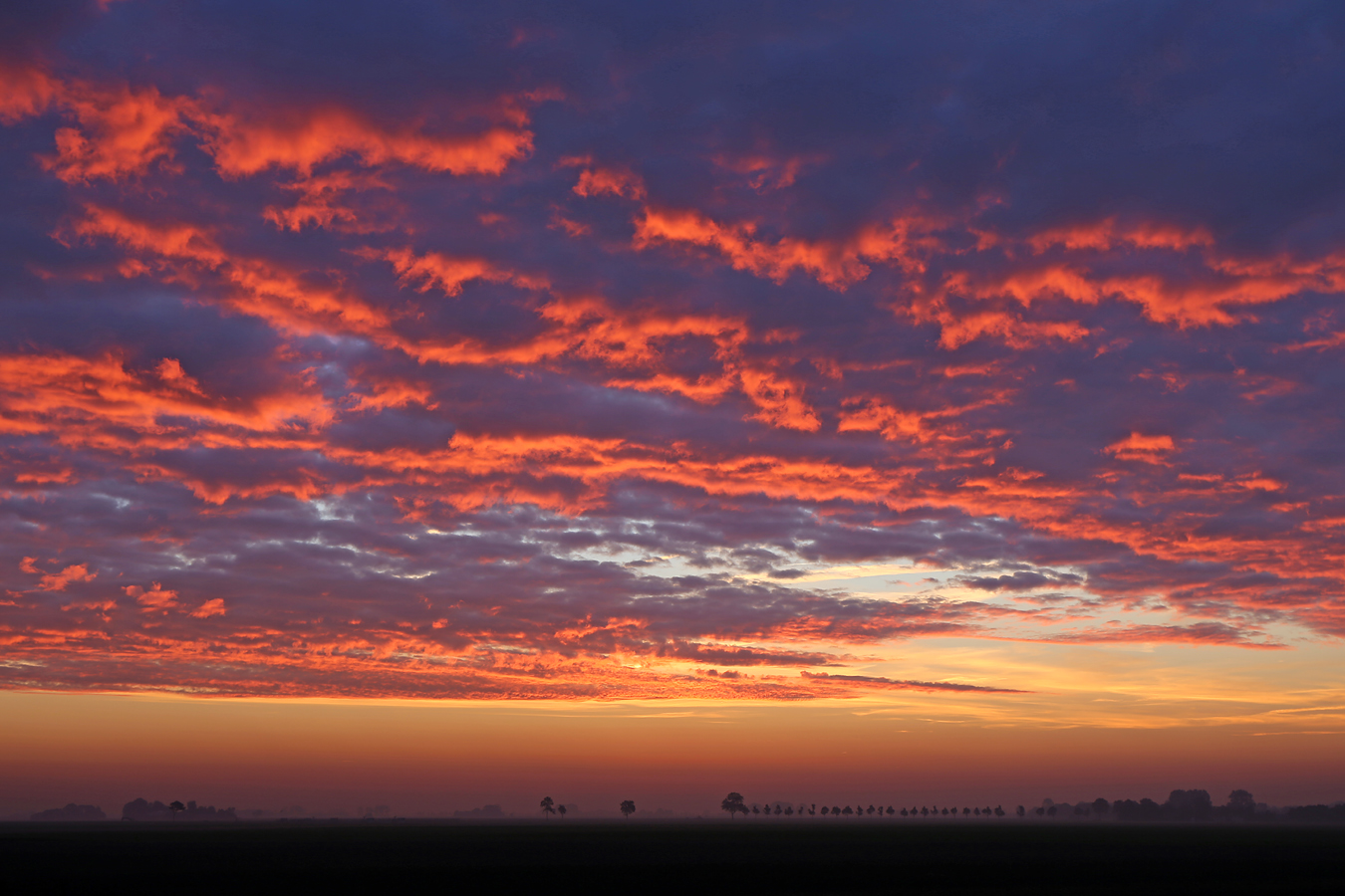 Morgenhimmel in Munnikezijl (NL)