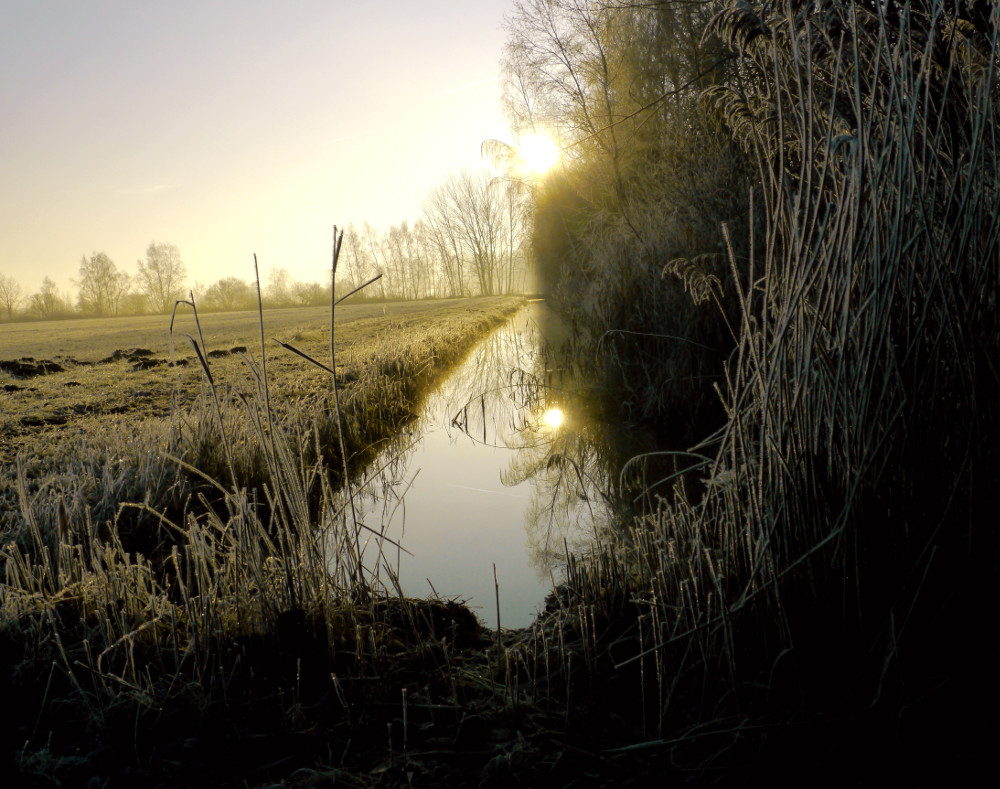 Raureifmorgen im Spreewald